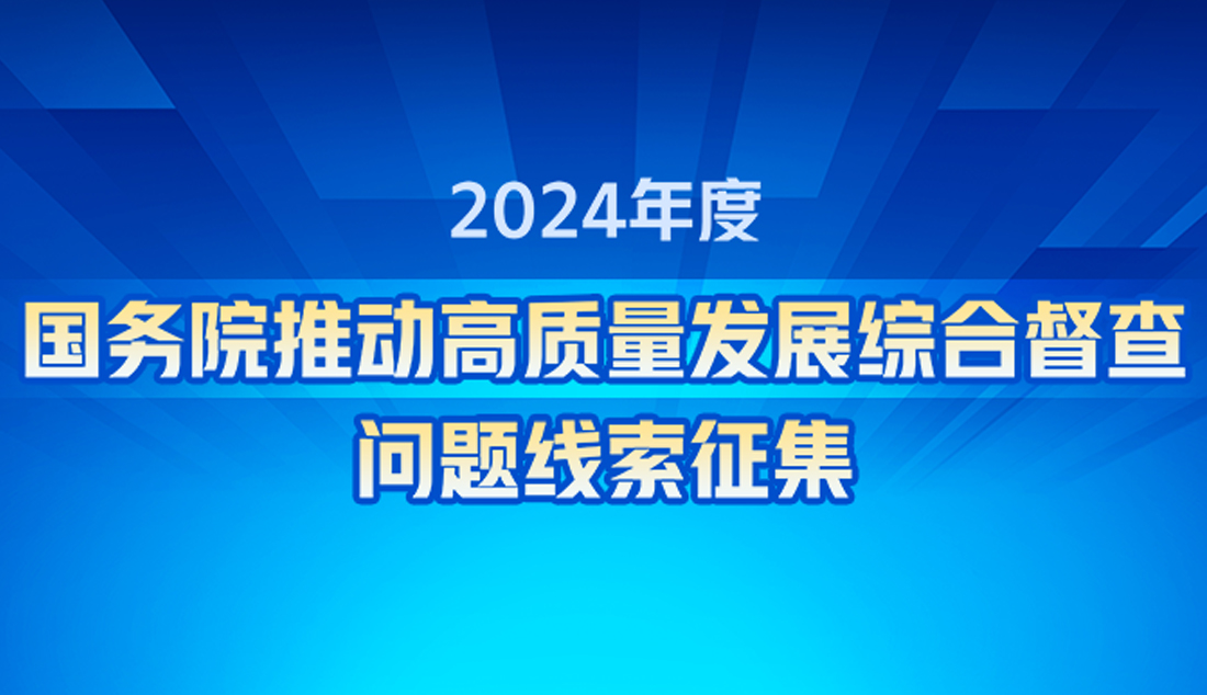 2024年度國務院推動高質量發展綜合督查問題...