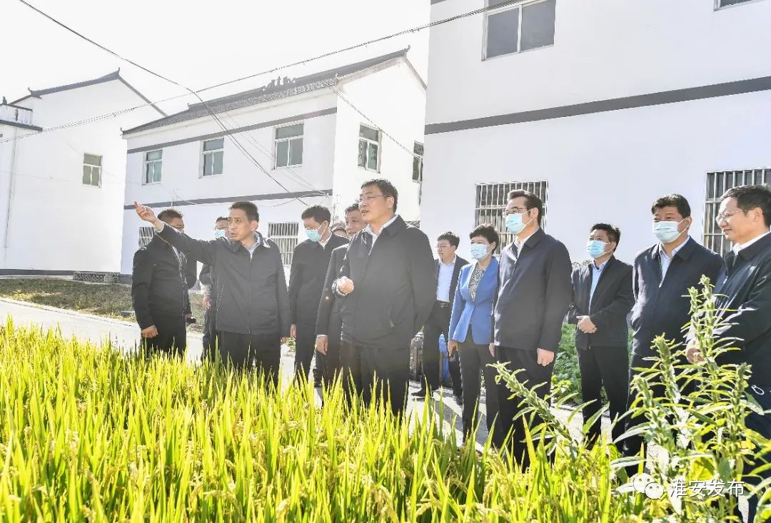 副省長(zhǎng)馬欣高度肯定淮安市戶廁改造工作